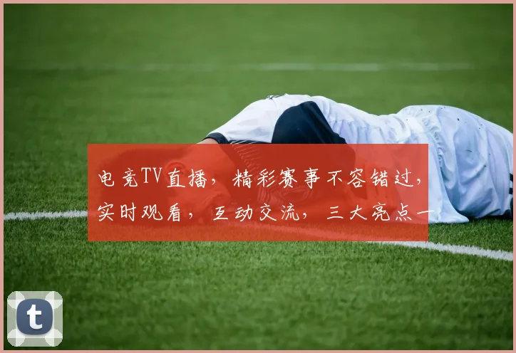电竞TV直播，精彩赛事不容错过，实时观看，互动交流，三大亮点一网打尽