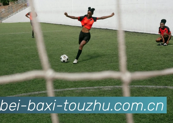 世界杯巴西投注服务体系